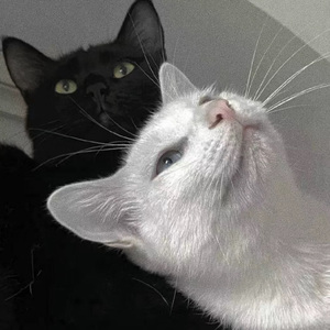 furry涩涩漫画❤网站
